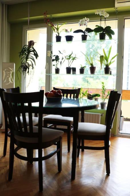 סופיה Beautiful Flat In Central Location By Flat Mаnager מראה חיצוני תמונה