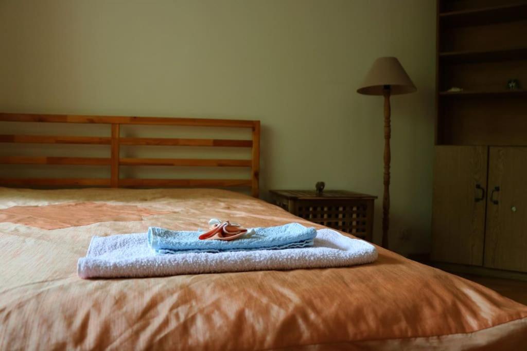 סופיה Beautiful Flat In Central Location By Flat Mаnager מראה חיצוני תמונה