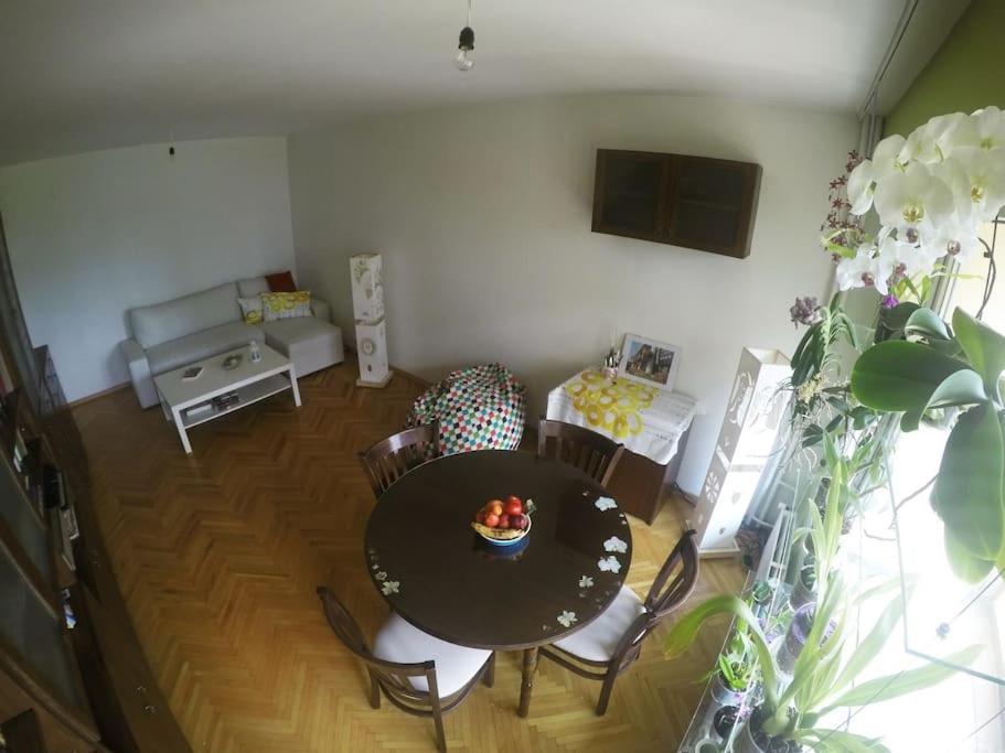 סופיה Beautiful Flat In Central Location By Flat Mаnager מראה חיצוני תמונה